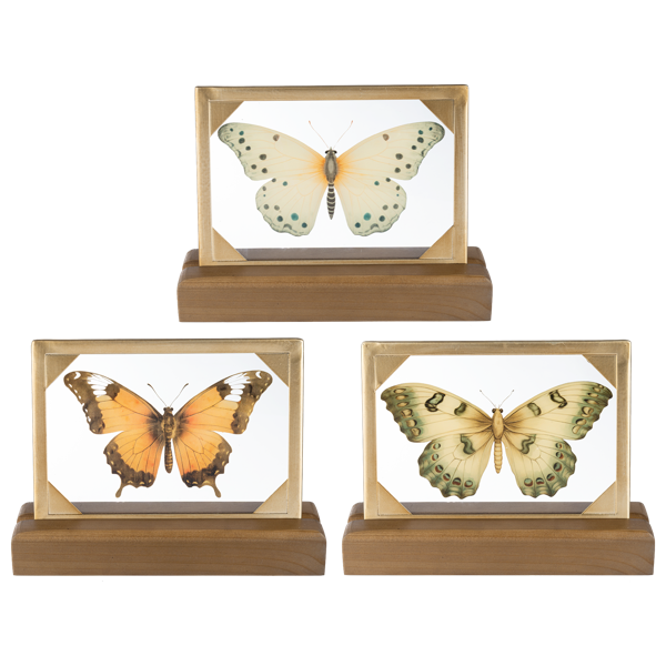 Butterfly Tabletop Decor