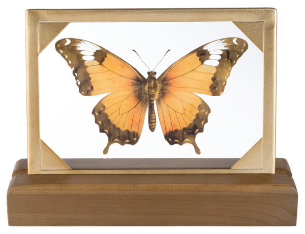Butterfly Tabletop Decor