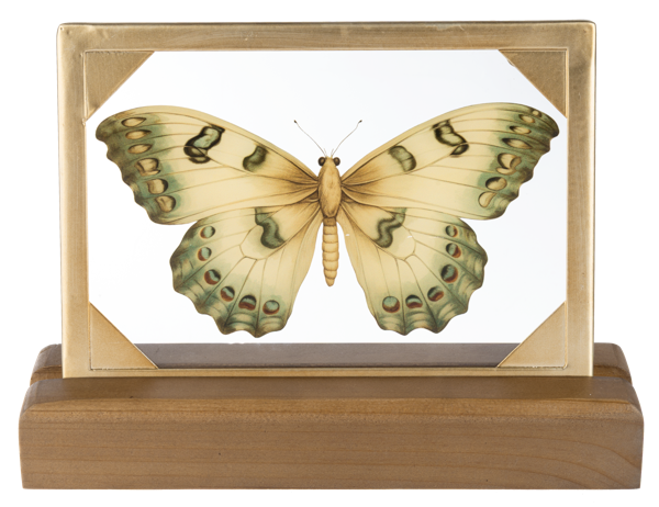 Butterfly Tabletop Decor