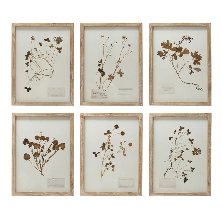 Wood Framed Botanical Wall Art-Assort6