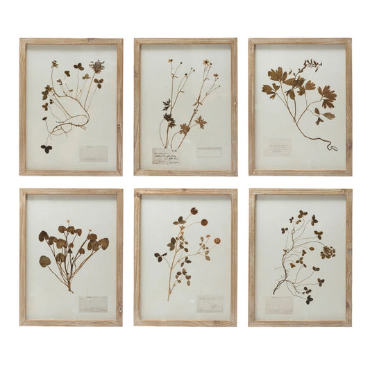 Wood Framed Botanical Wall Art-Assort6