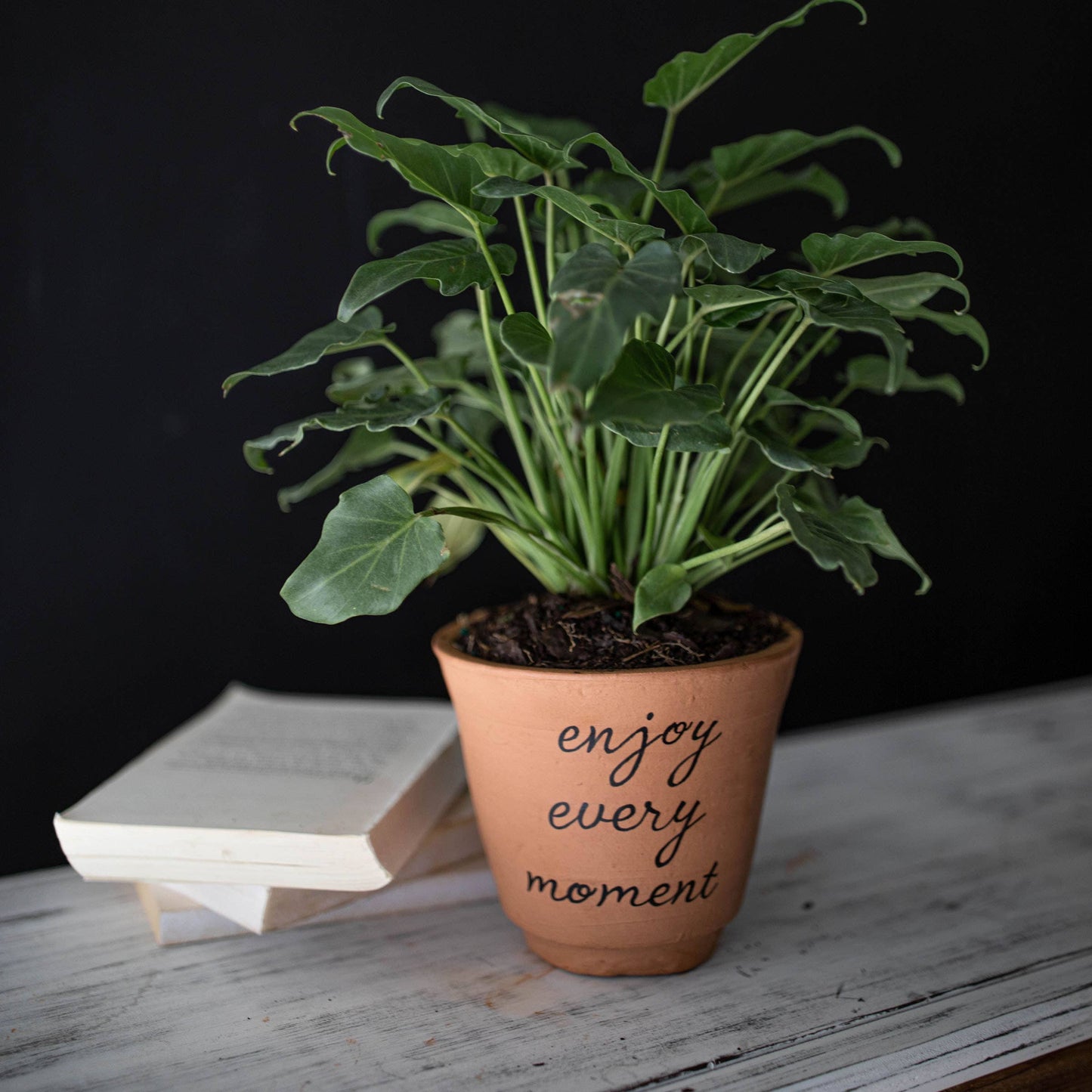 Enjoy Every Moment Terracotta Planter