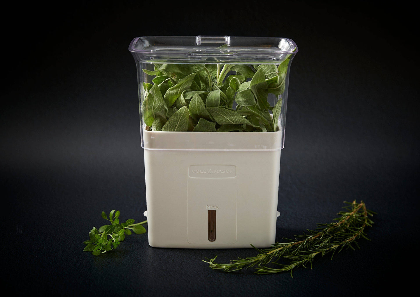 Cole & Mason Fresh Cut Herb Keeper Pot