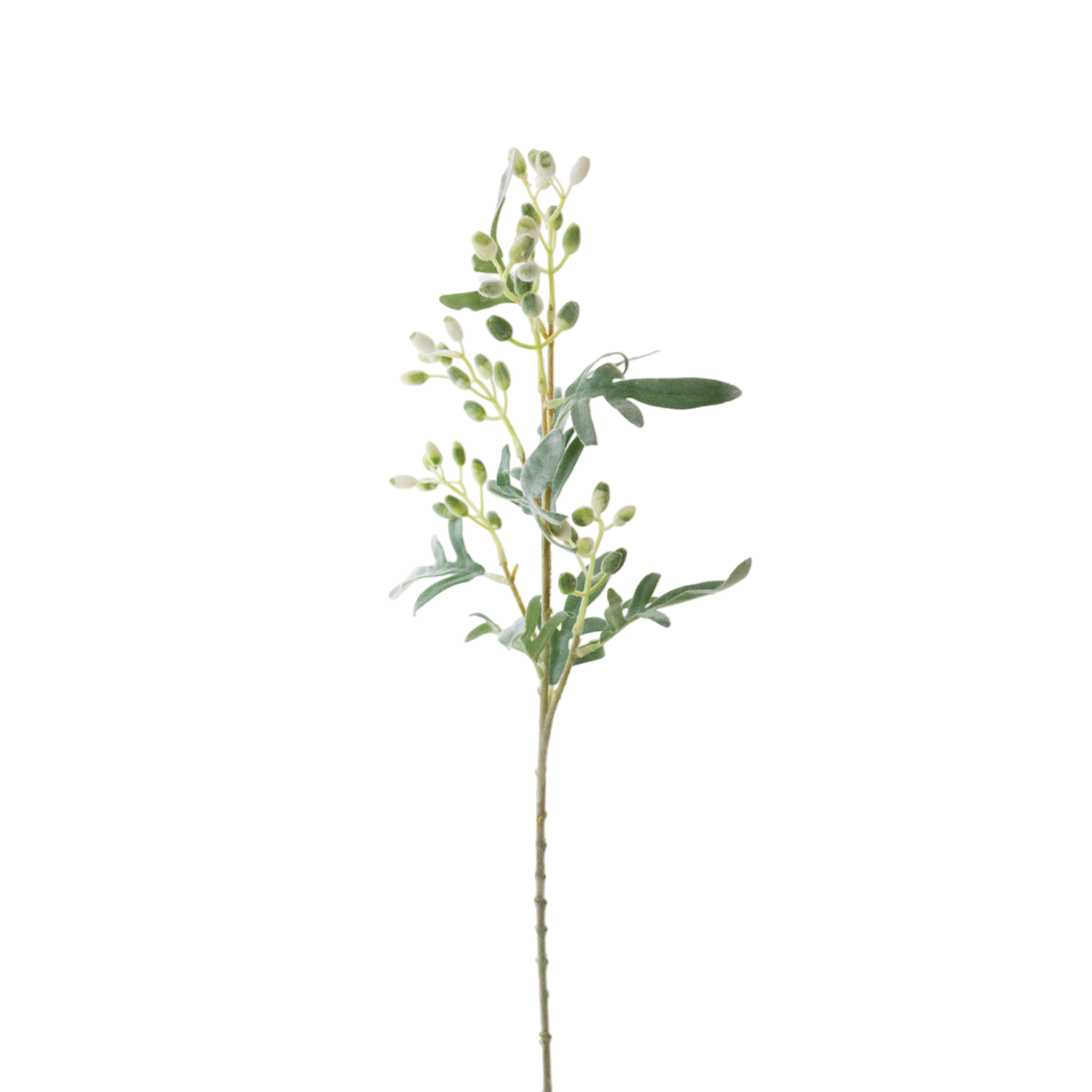 FS129 Eucalyptus Fruit 27"