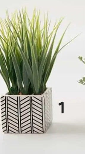 Mixed Ferns Grass Chevron Pot Sold Separately