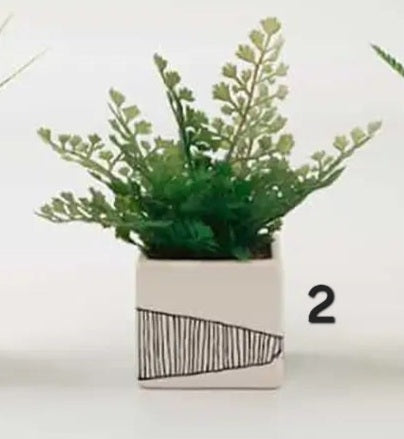 Mixed Ferns Grass Chevron Pot Sold Separately