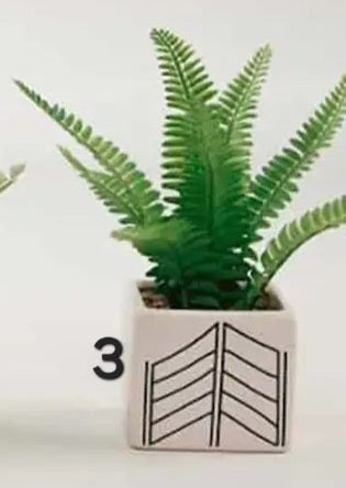 Mixed Ferns Grass Chevron Pot Sold Separately