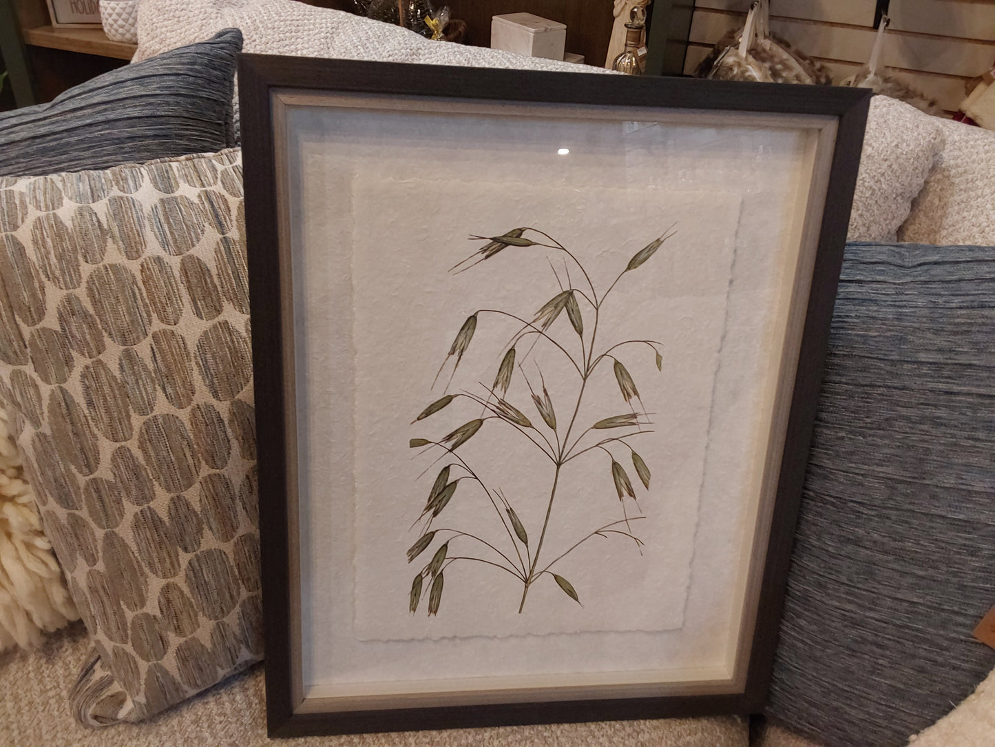 Forest Finds Framed Prints Assorted  1 pcs random