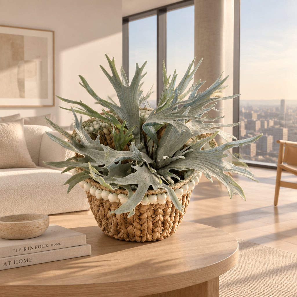20" Staghorn Fern Bush