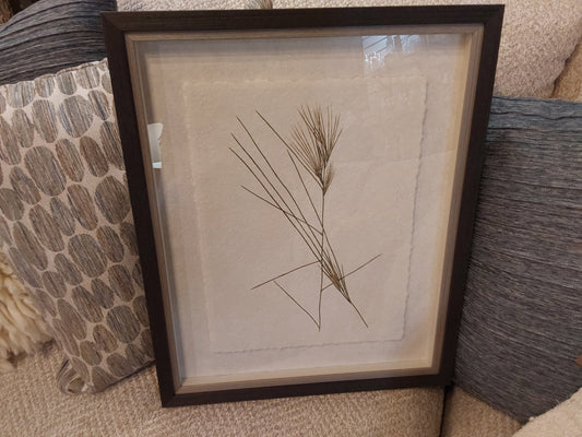 Forest Finds Framed Prints Assorted  1 pcs random