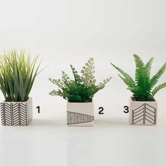 Mixed Ferns Grass Chevron Pot Sold Separately