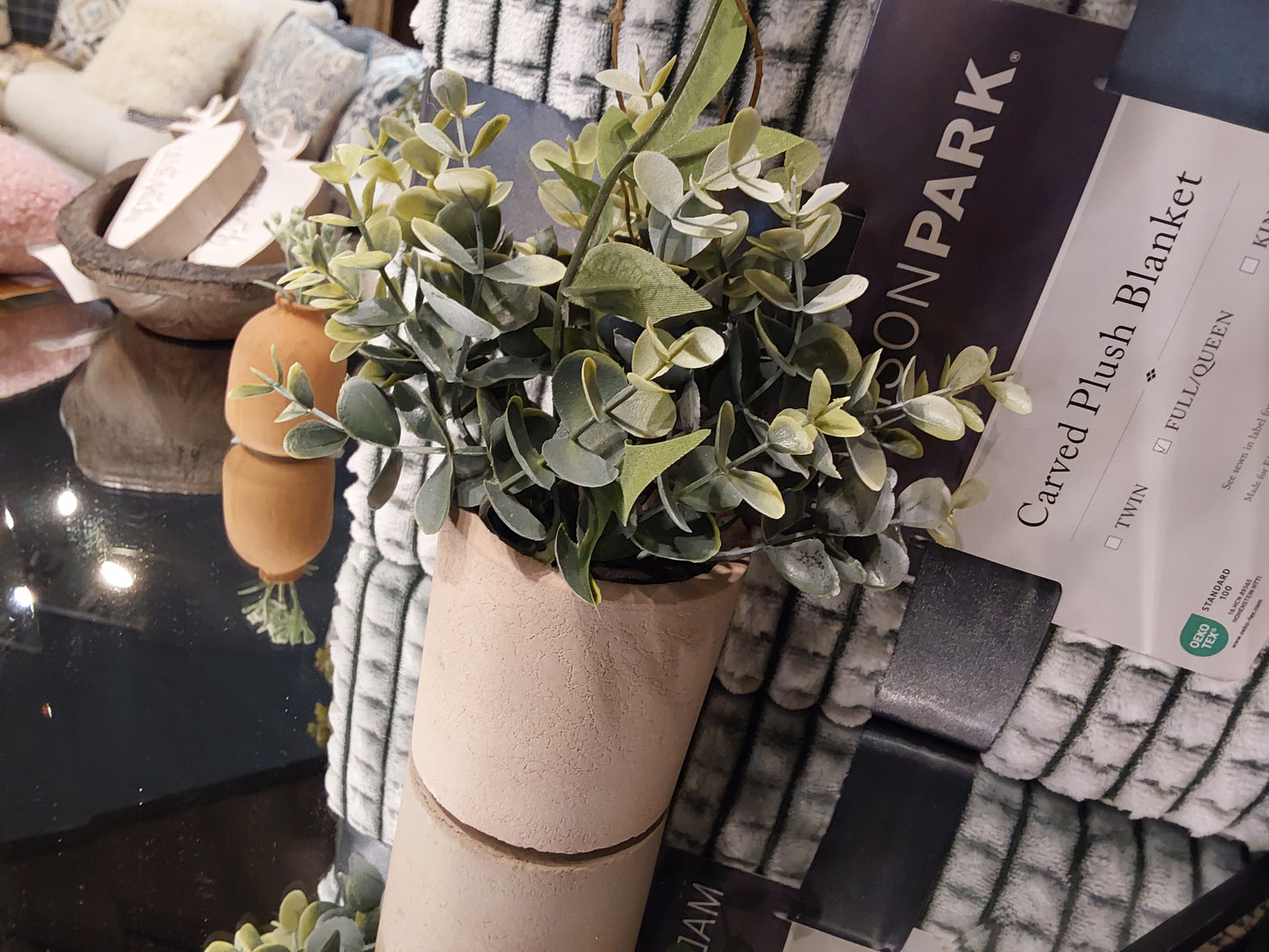 Potted Eucalyptus