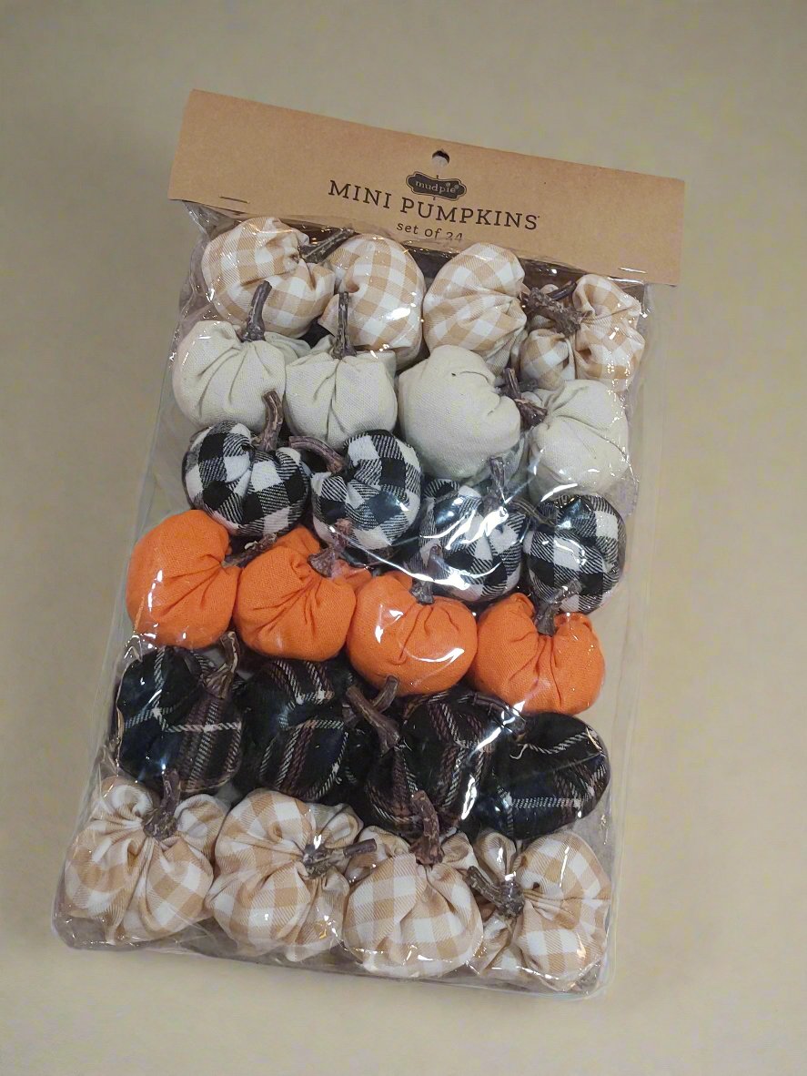 Assorted Mini Pumpkins Set