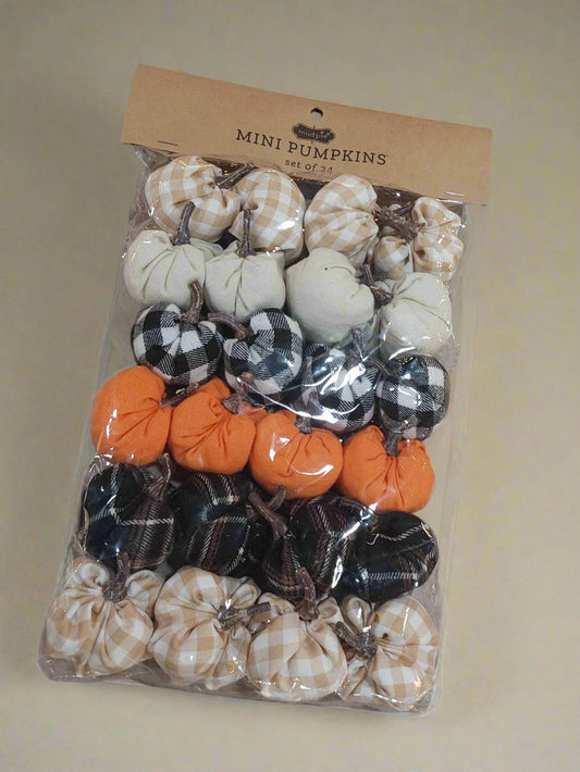 Assorted Mini Pumpkins Set