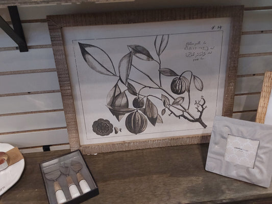 Wood Framed Botanical Wall Art