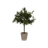 8" Round x 20"H Faux Boxwood Tree with Moss in Paper Pot