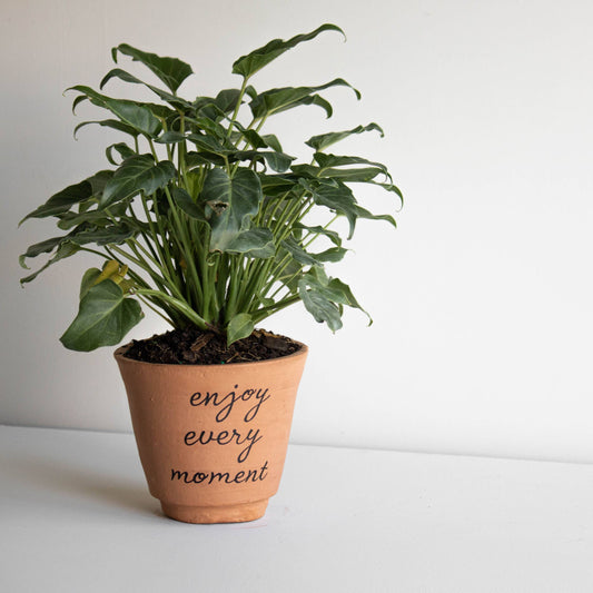 Enjoy Every Moment Terracotta Planter