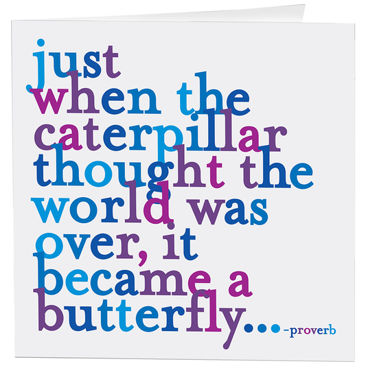Cards - D54- Caterpillar Butterfly (Proverb)